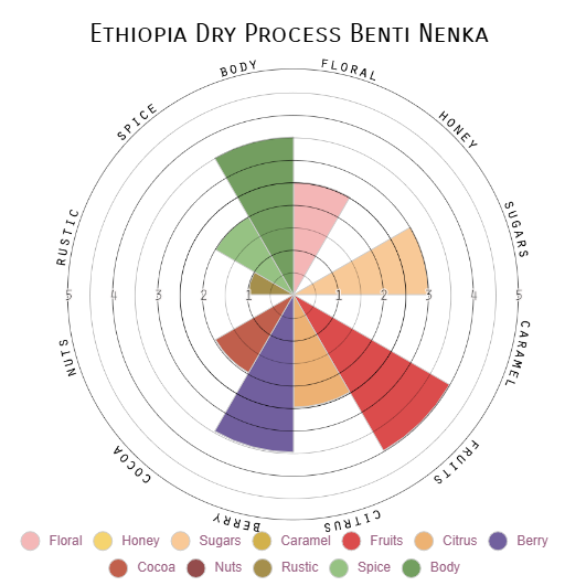 Ethiopia | Benti Nenka