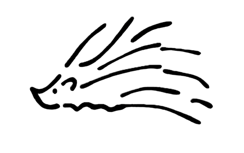 Hedge Coffee Roasters