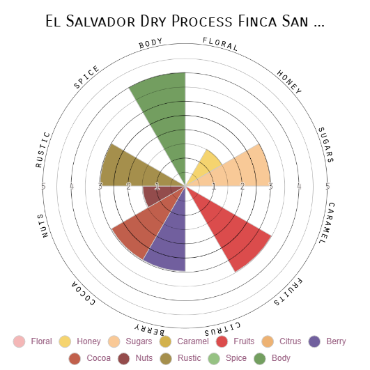El Salvador | Finca San Luis